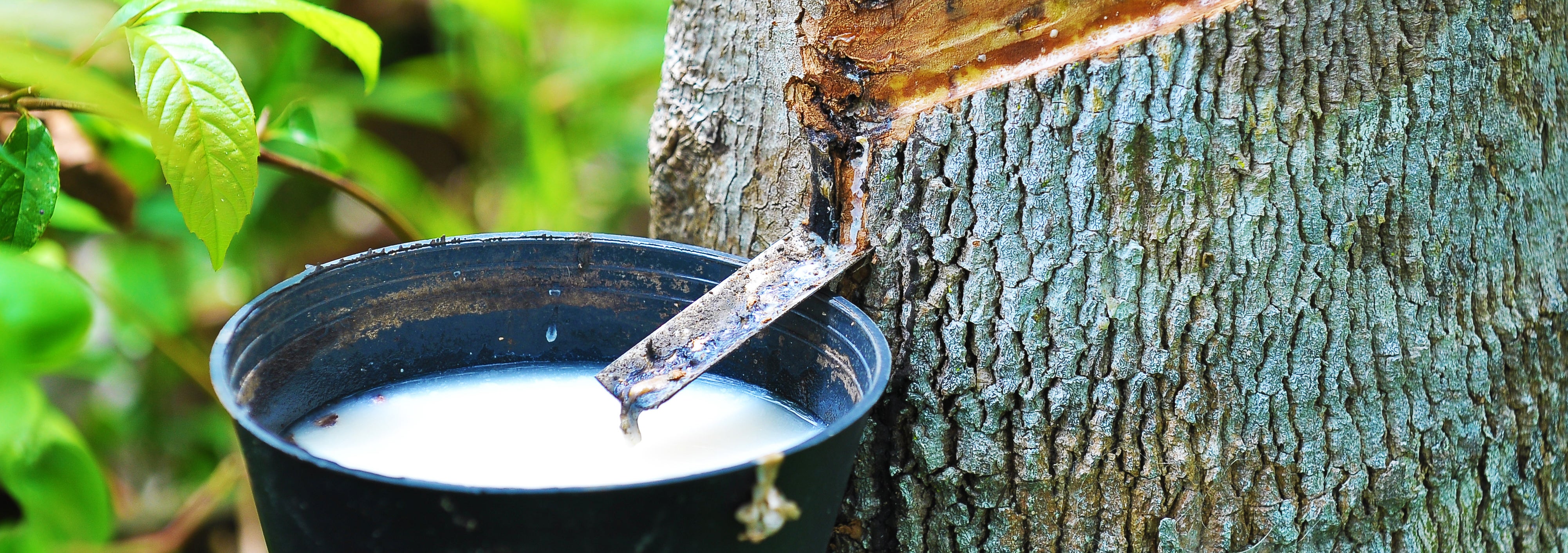 Rubber Products WidgetCo | WidgetCo